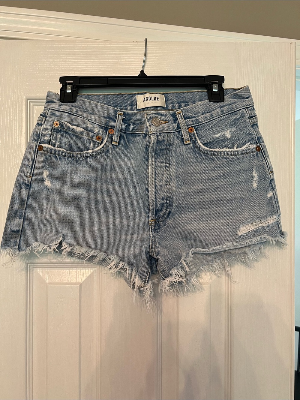 Agolde Parker Vintage Cut Off Shorts in Swapmeet